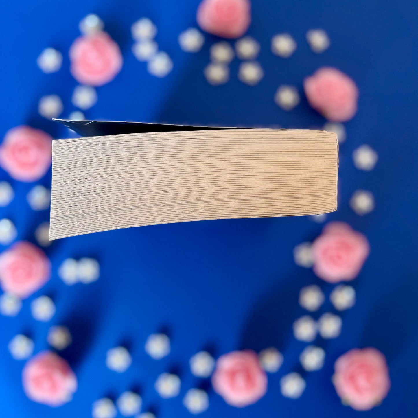 Book’N’Captive - Book’Ted ♻️