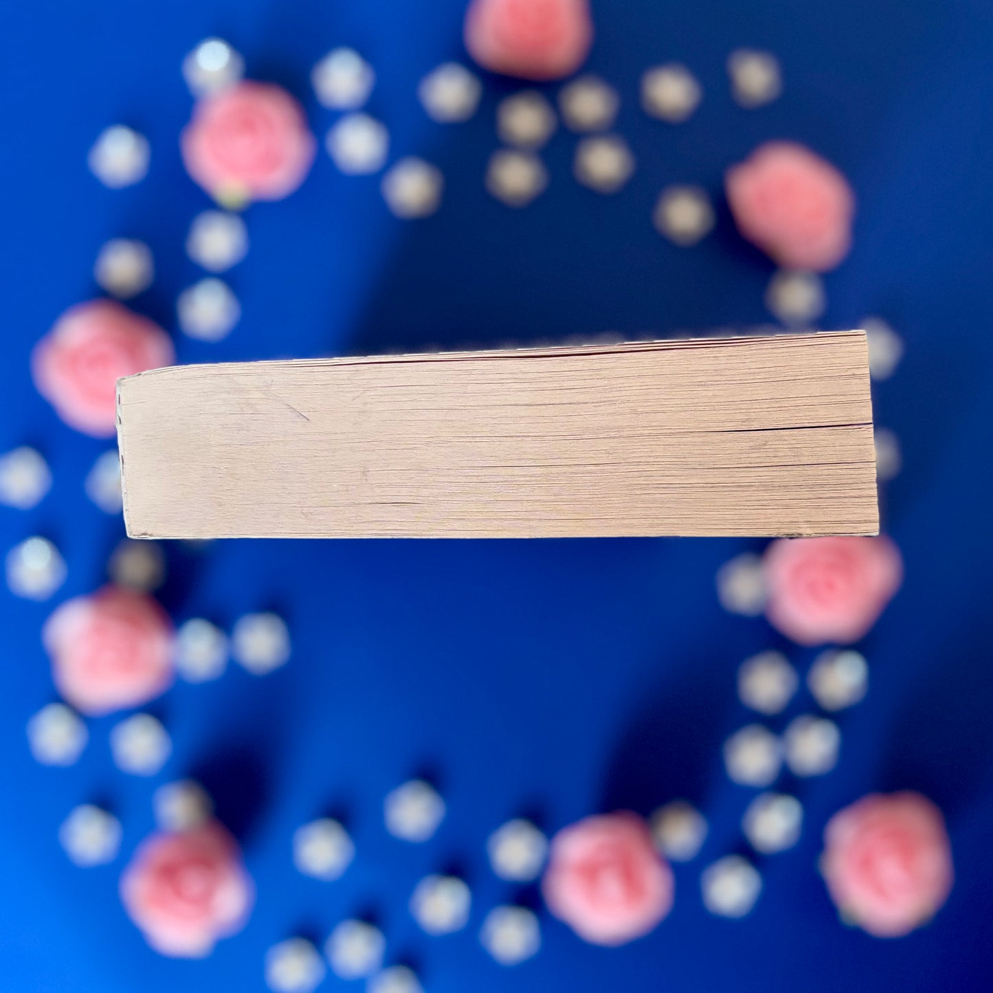 Book’N’Ombres - Book’Ted ♻️