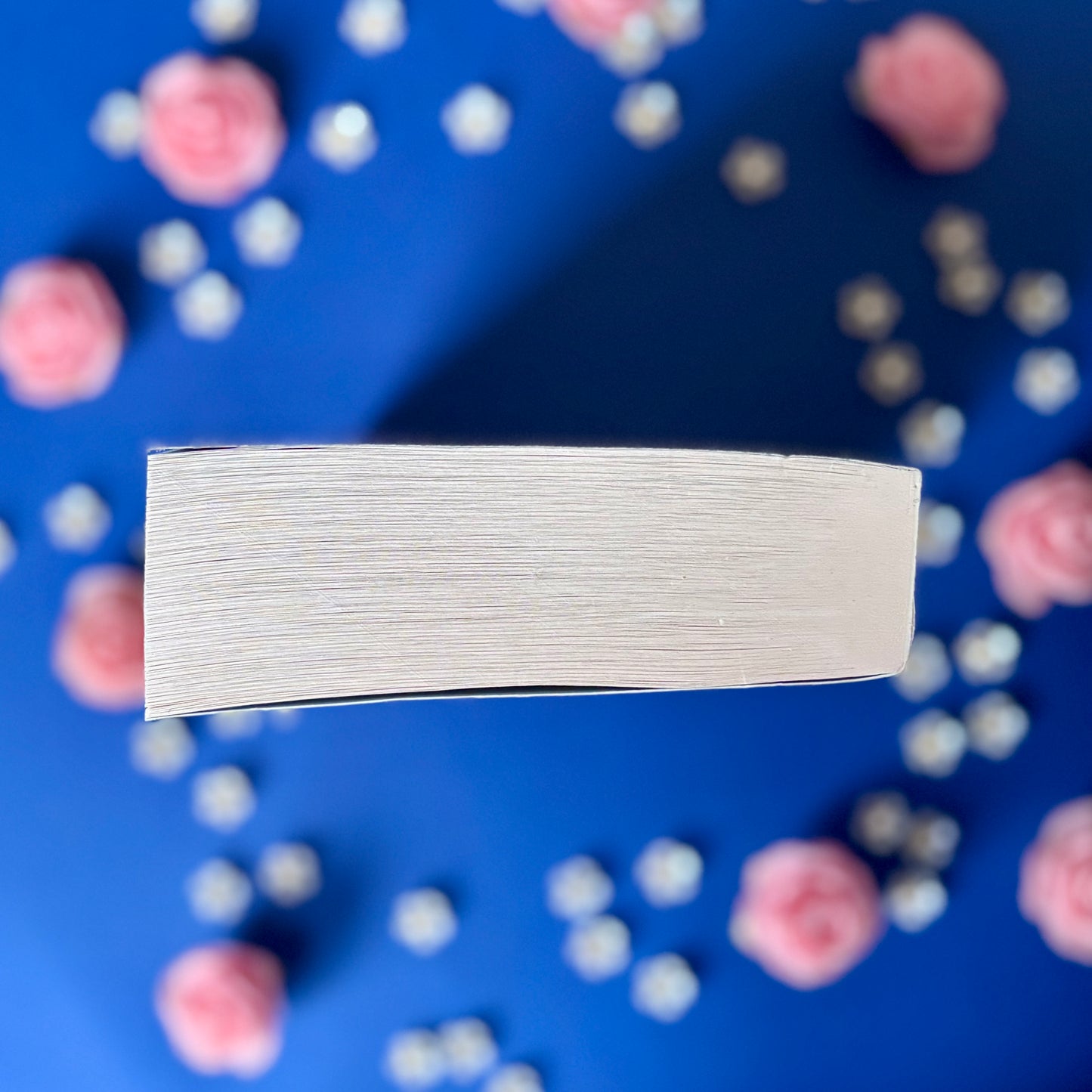 Book’N’Dream - Book’Ted ♻️