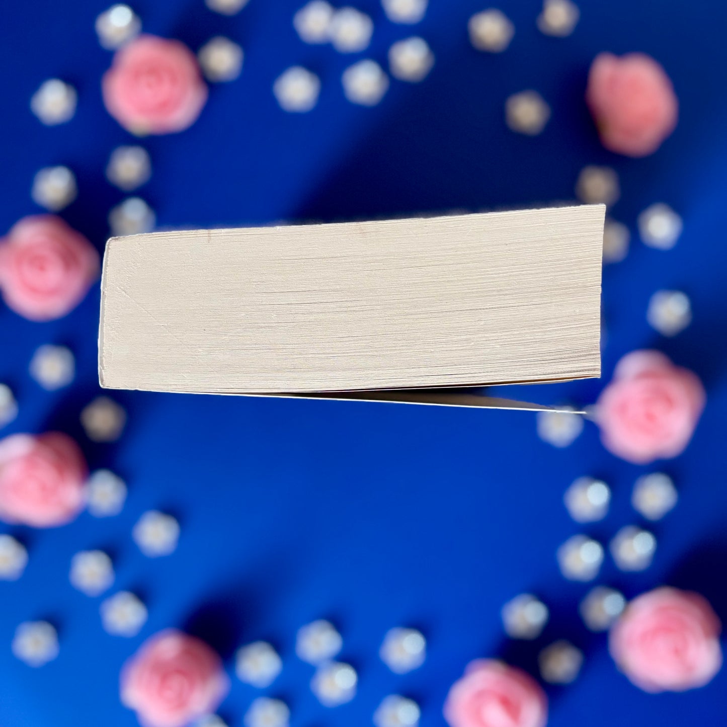 Book’N’Precursor - Book’Ted ♻️