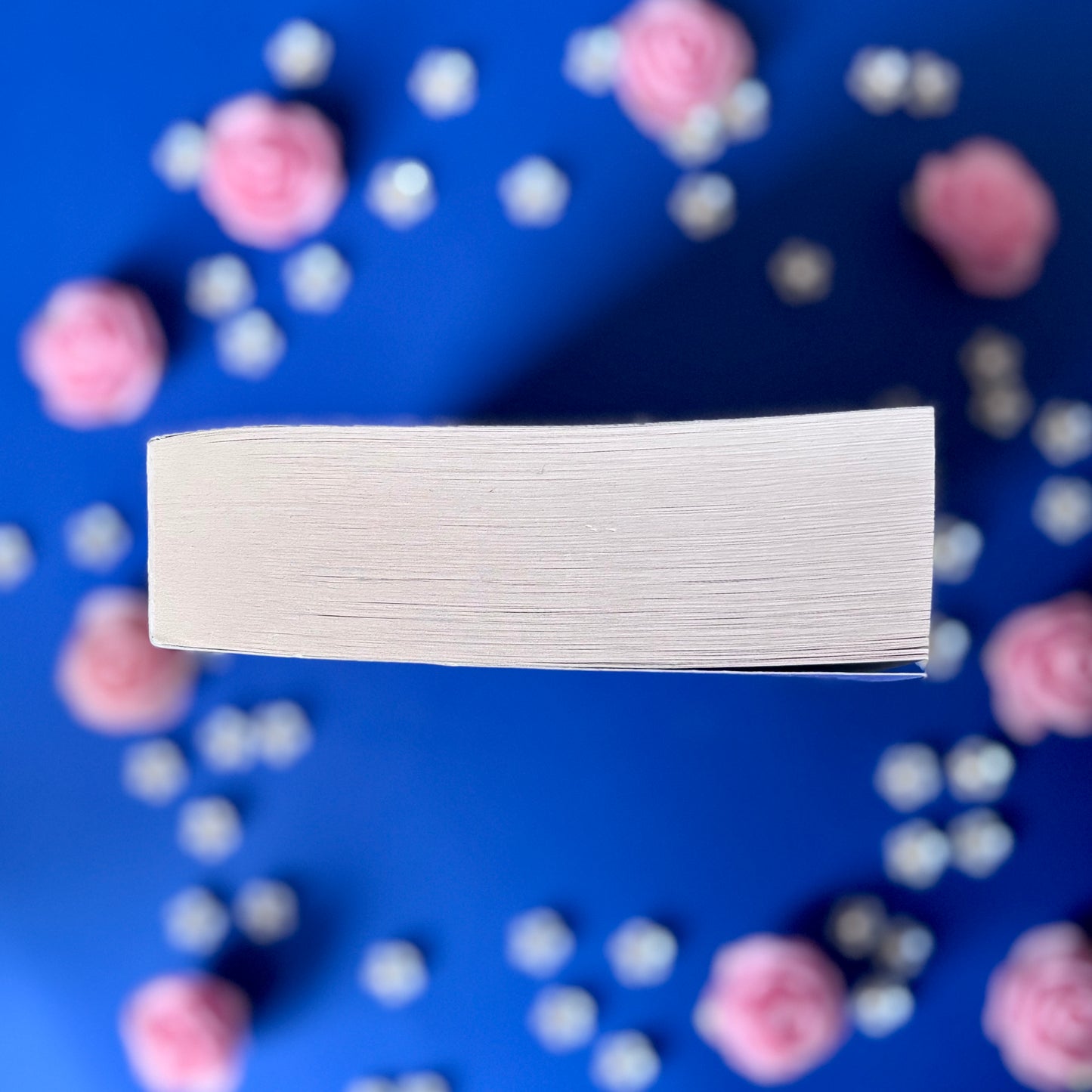 Book’N’Dream - Book’Ted ♻️