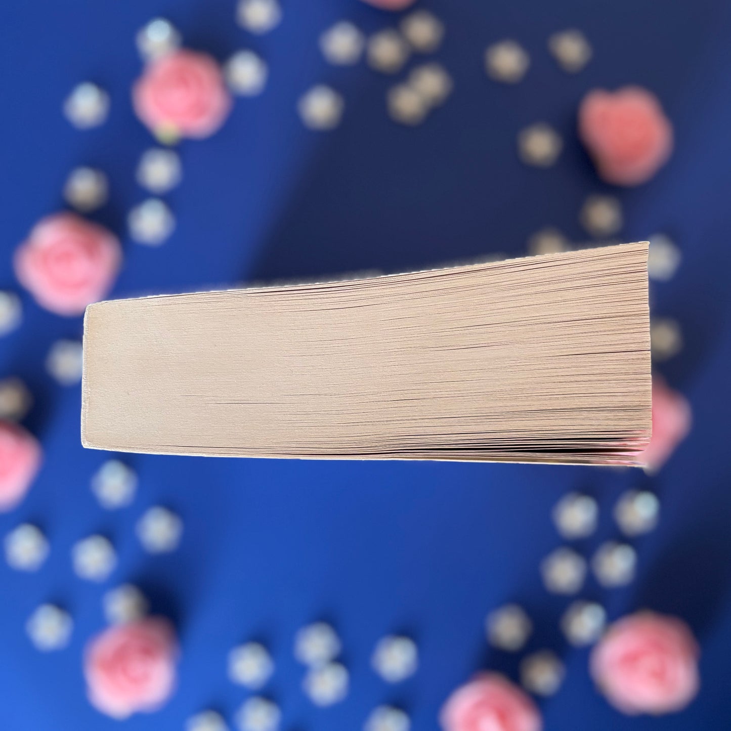 Book’N’Prince - Book’Ted ♻️