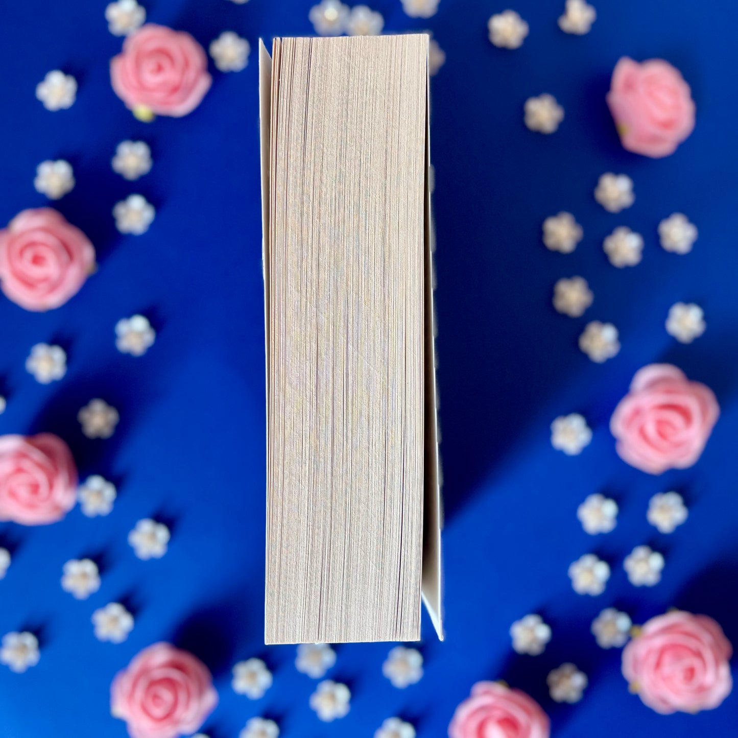 Book’N’Precursor - Book’Ted ♻️