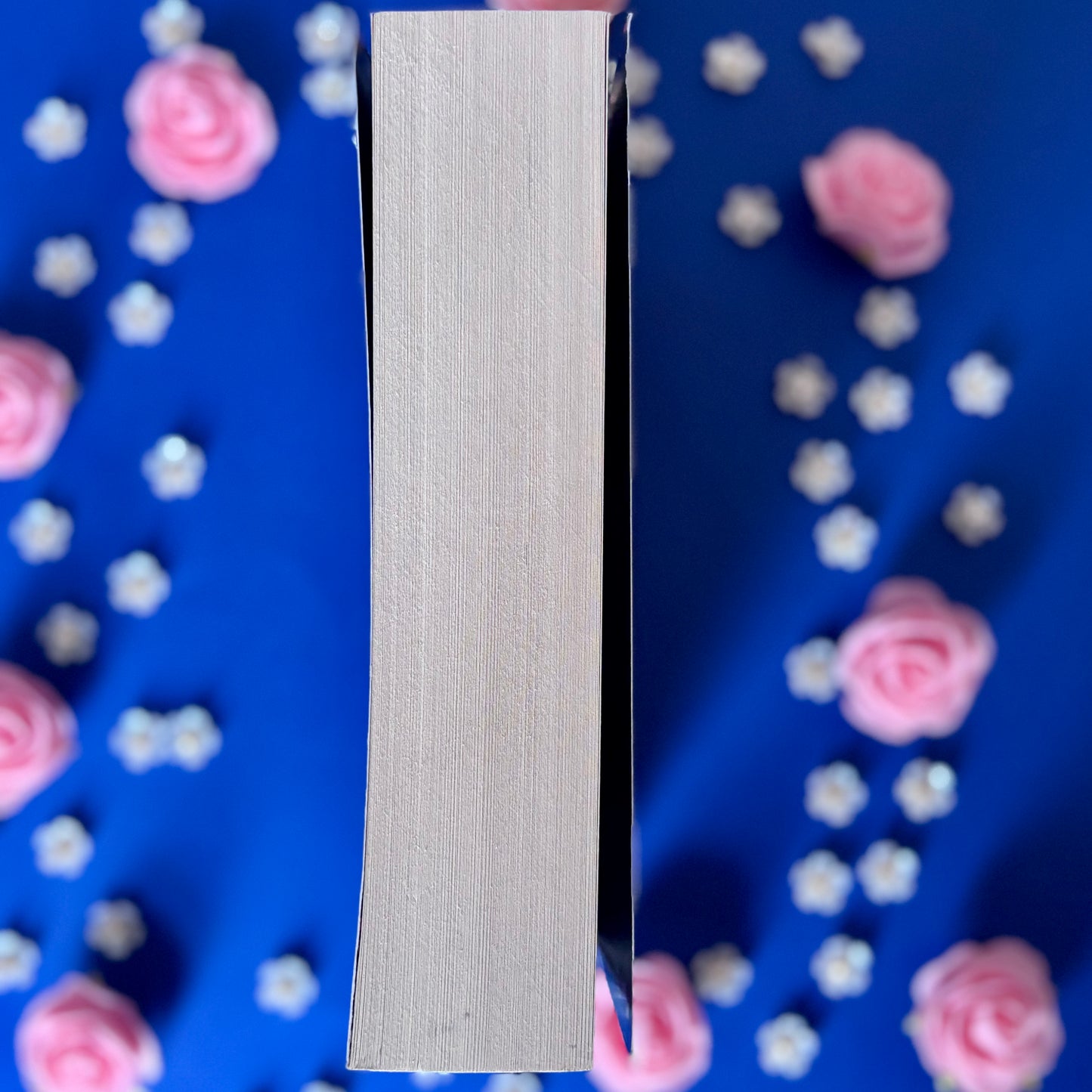 Book’N’Witch - Book’Ted ♻️