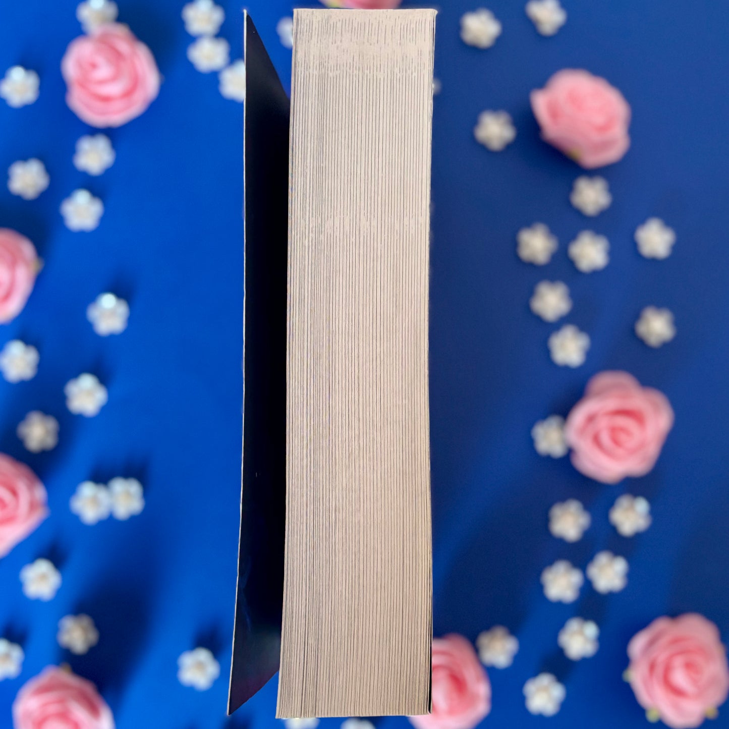 Book’N’Captive - Book’Ted ♻️