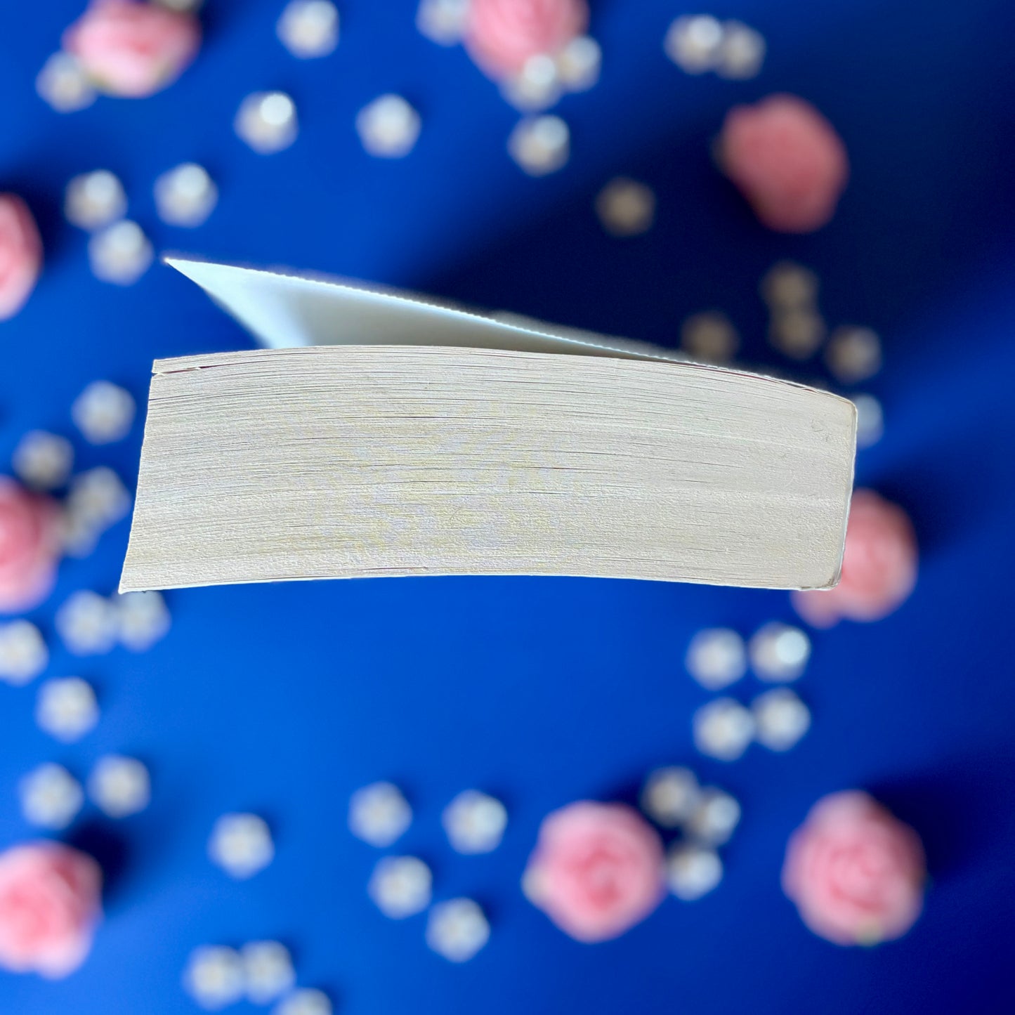 Book’N’Ice - Book’Ted ♻️