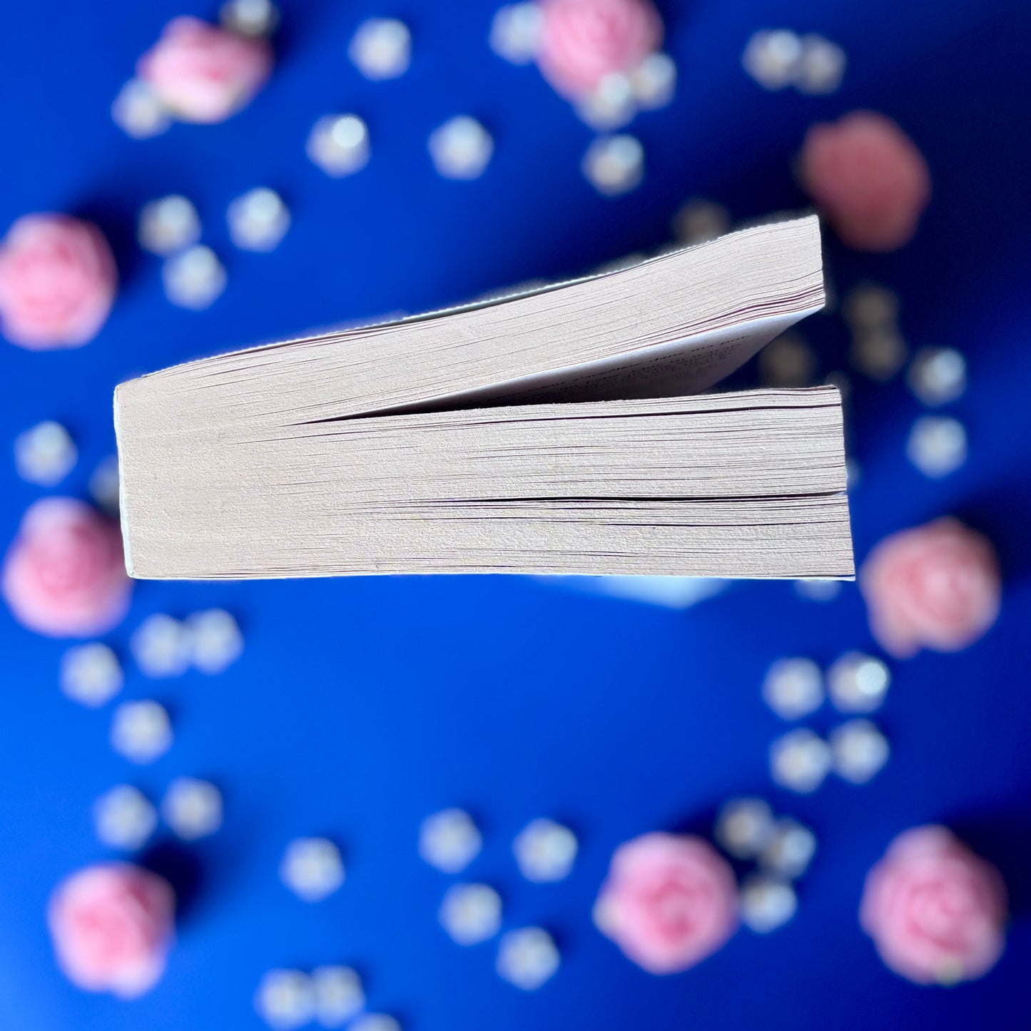 Book’N’Ice - Book’Ted ♻️