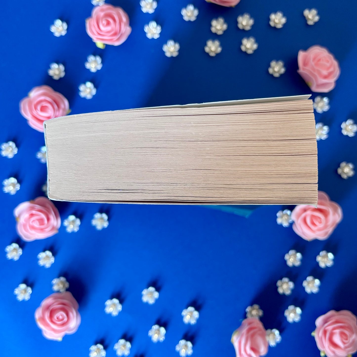 Book’N’Rebel - Book’Ted ♻️