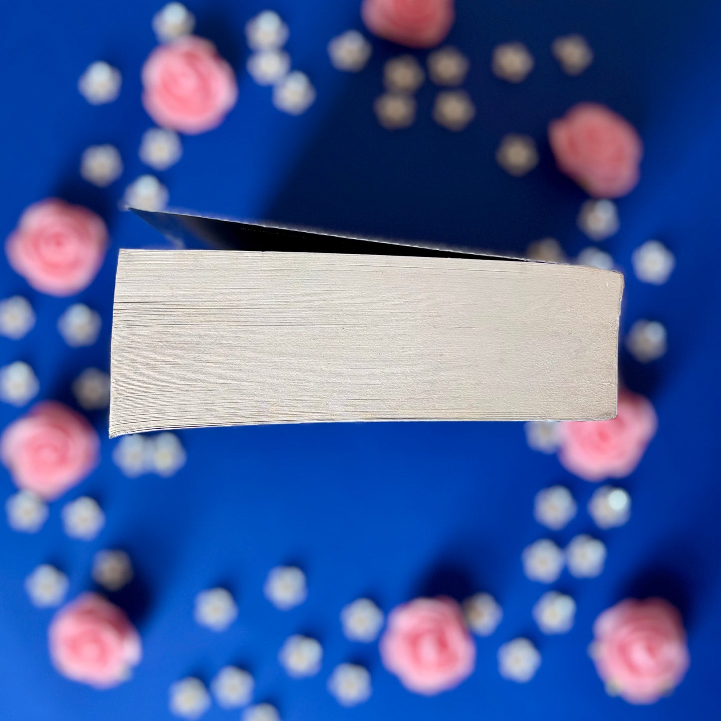 Book’N’Witch - Book’Ted ♻️