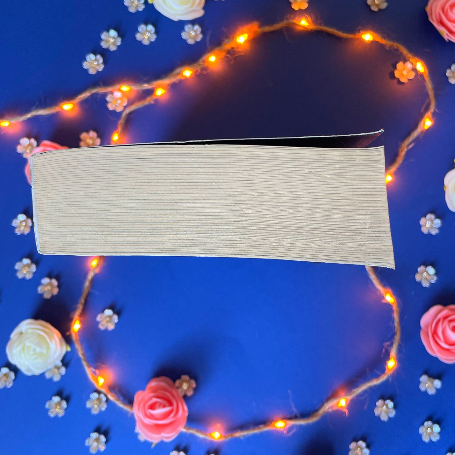 Book’N’Captive - Book’Ted ♻️
