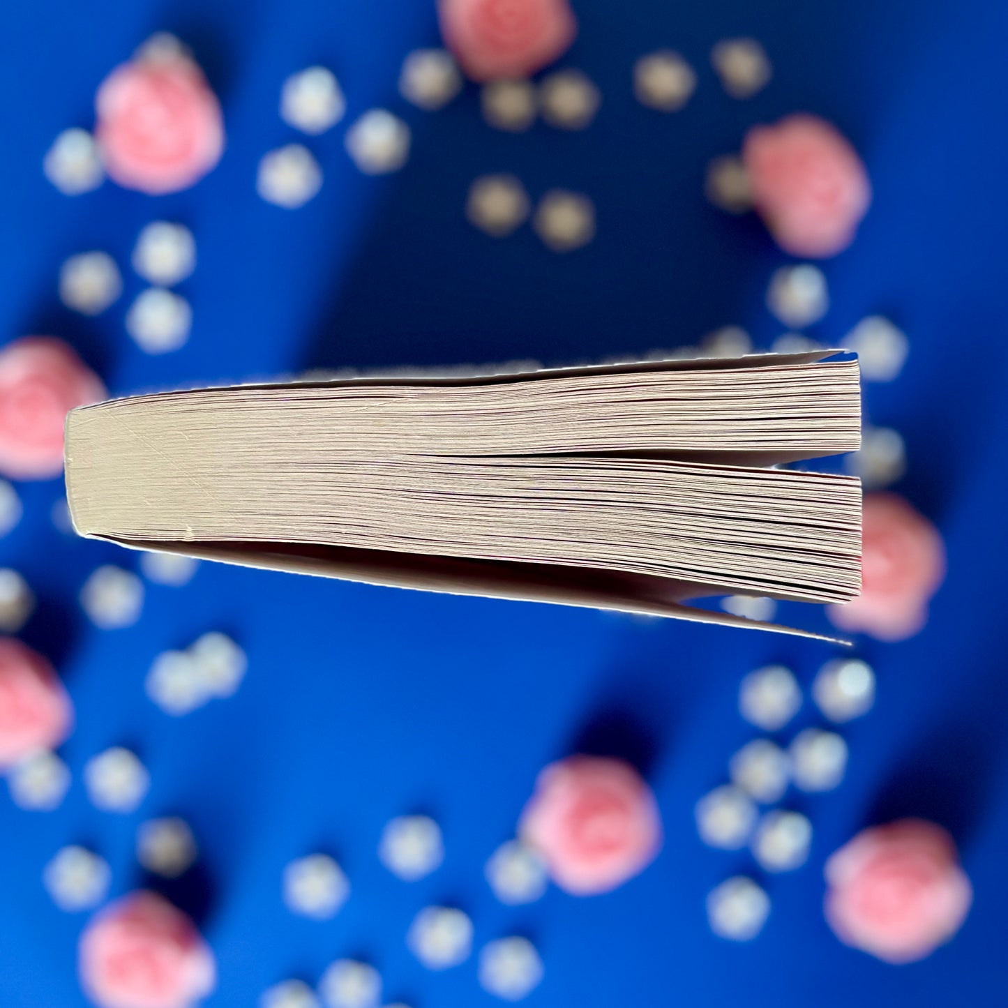 Book’N’Millénaire - Book’Ted ♻️