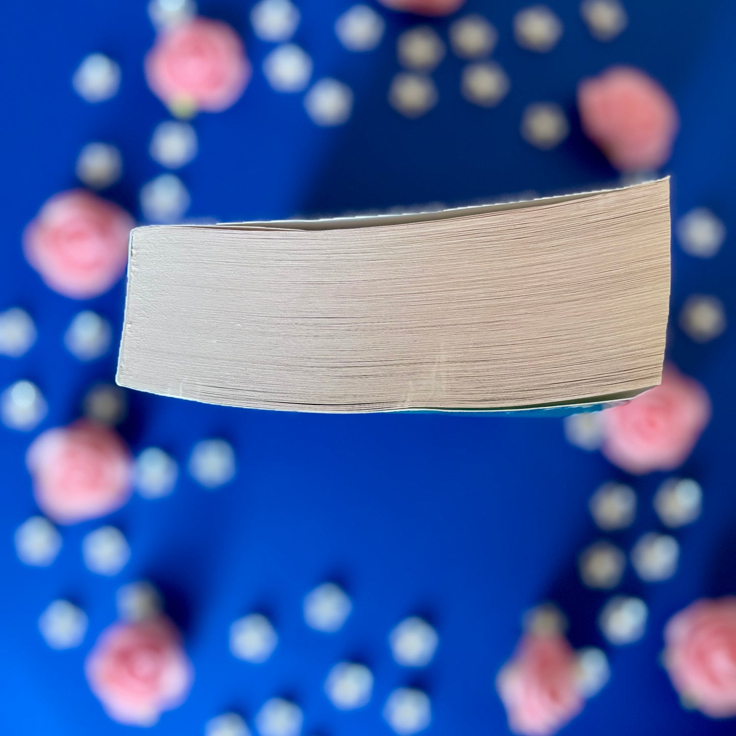 Book’N’Rebel - Book’Ted ♻️