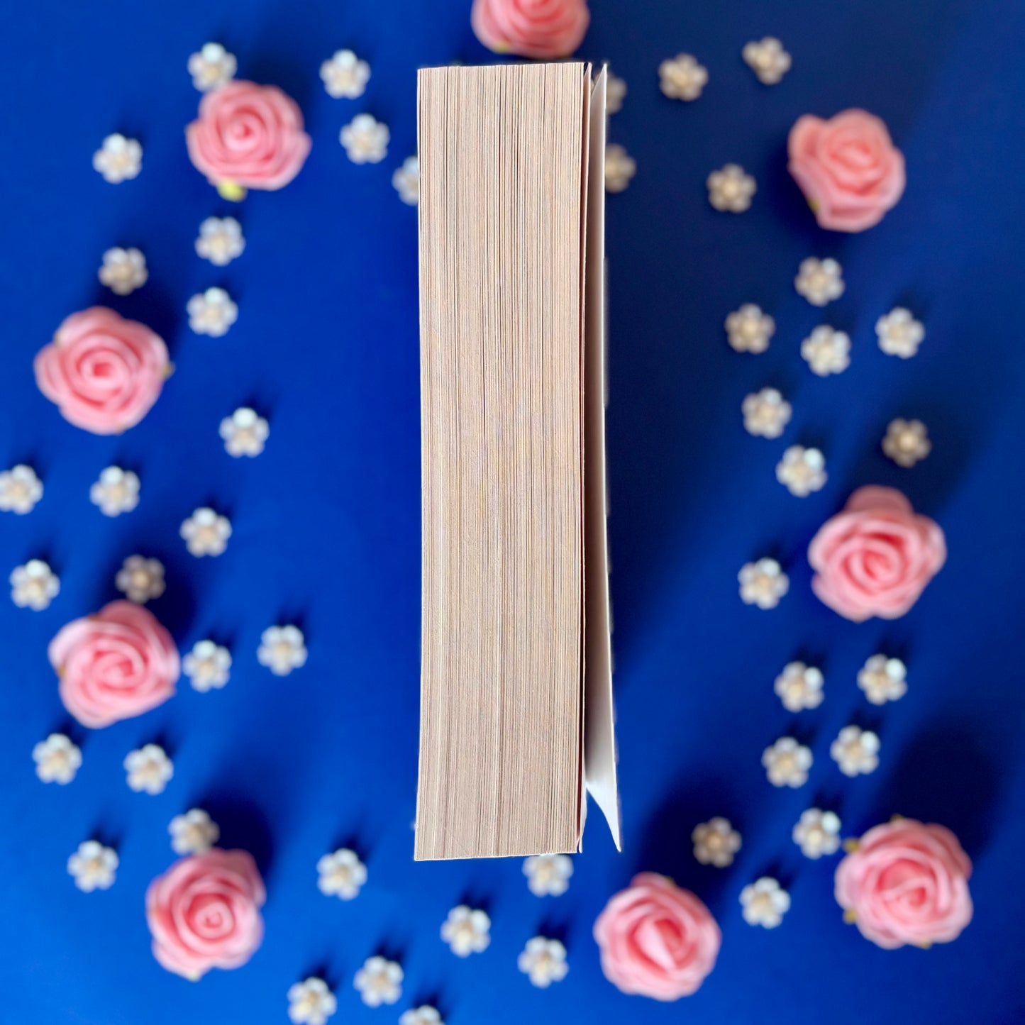 Book'N'Majesty - Book’Ted ♻️