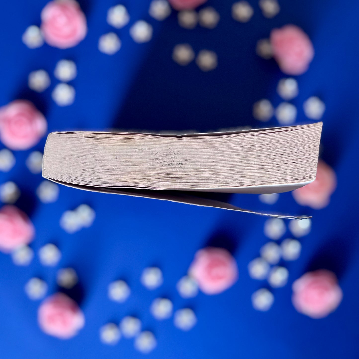 Book’N’Millénaire - Book’Ted ♻️