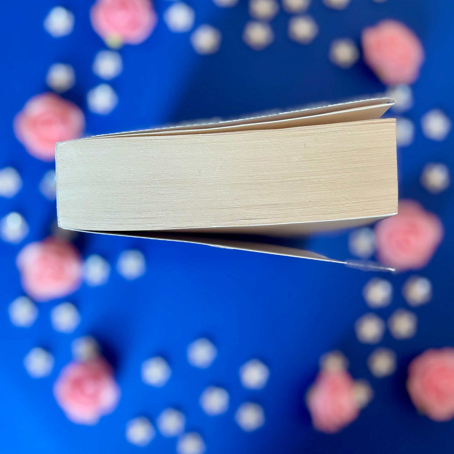 Book’N’Match - Book’Ted ♻️