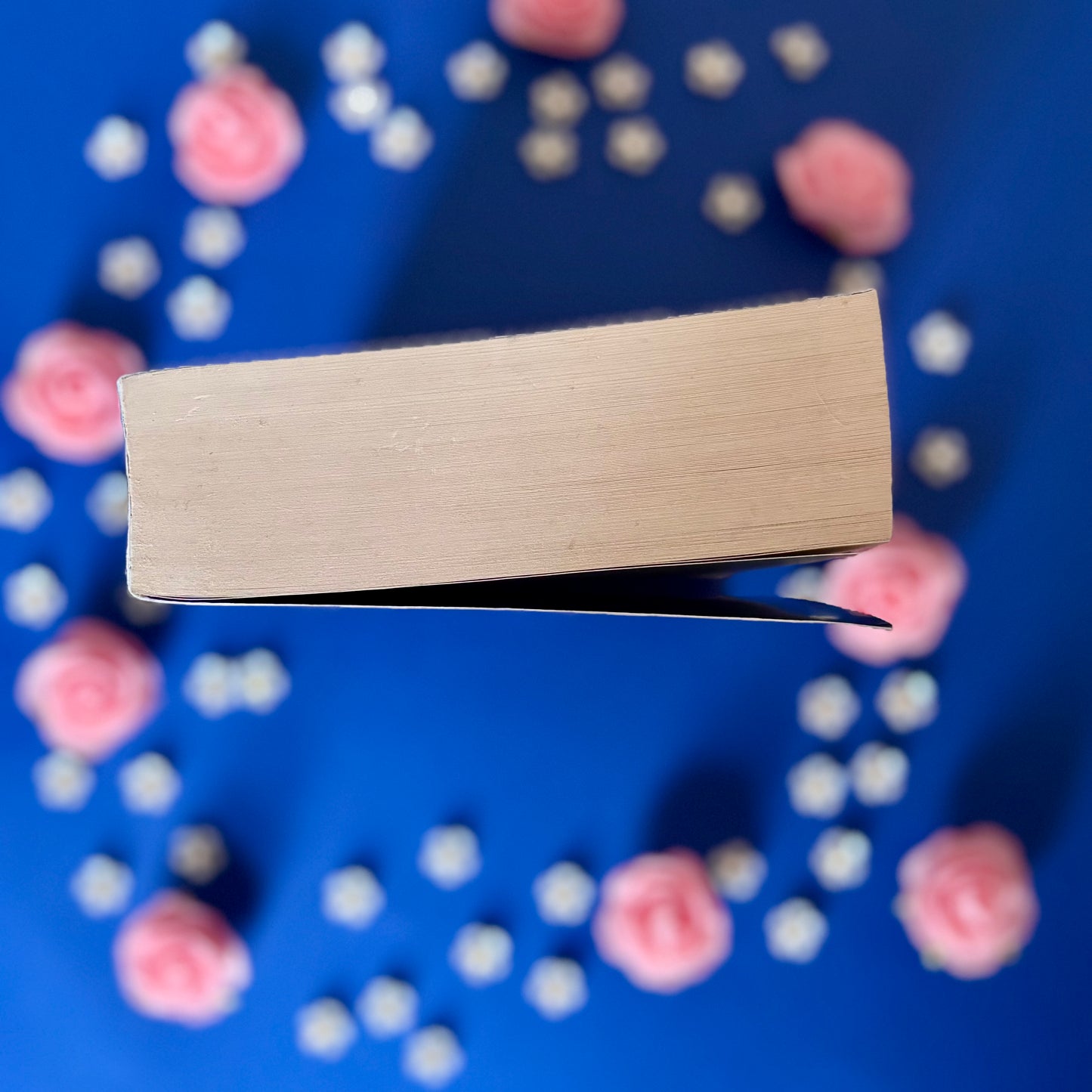 Book’N’Witch - Book’Ted ♻️