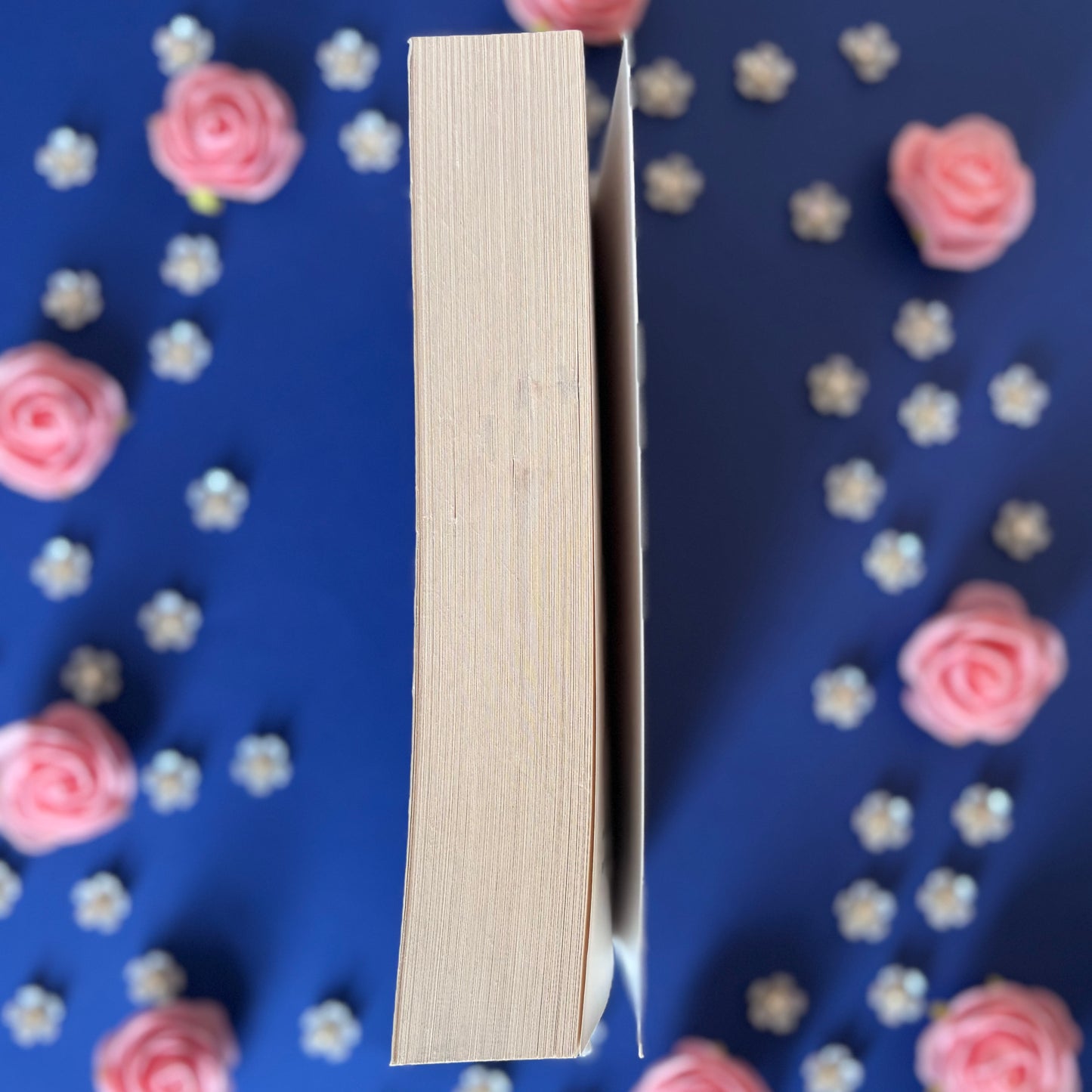 Book’N’Baby - Book’Ted ♻️