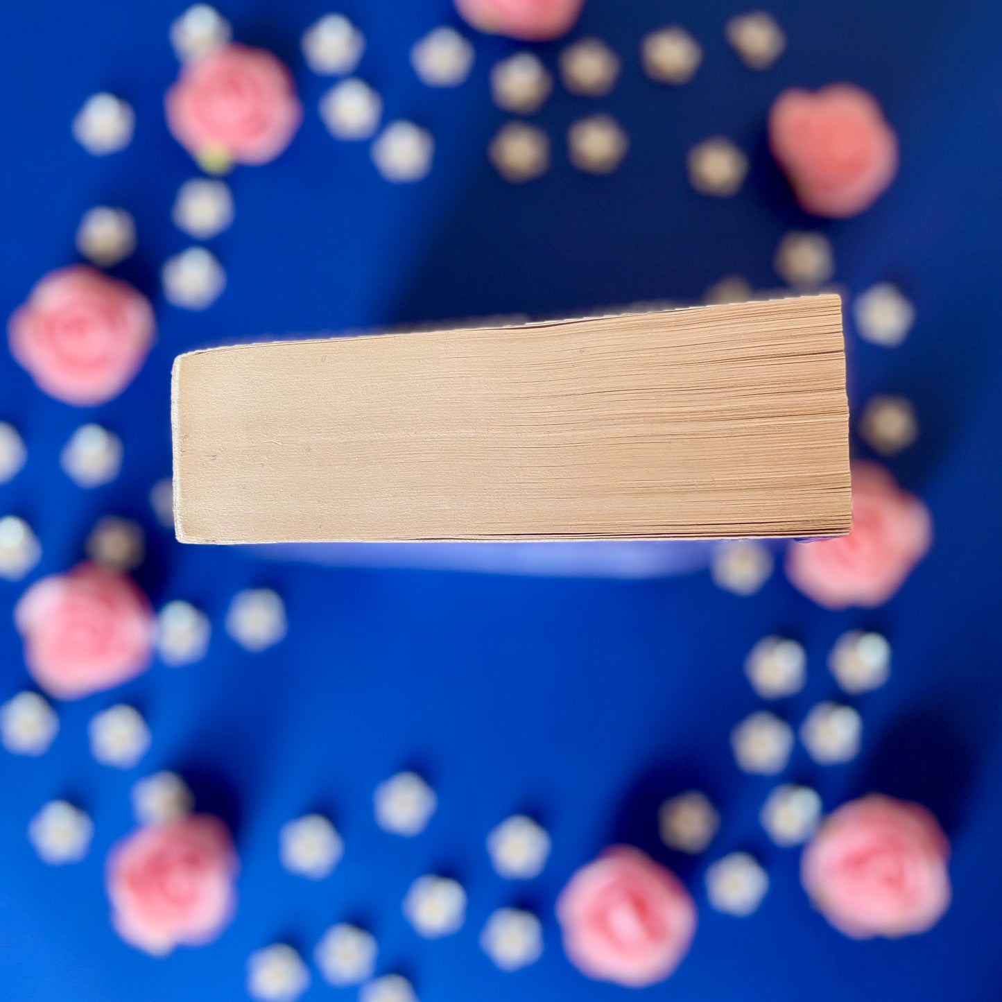 Book'N'Majesty - Book’Ted ♻️