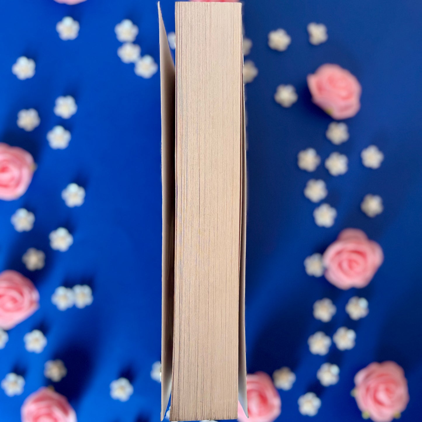 Book’N’Ombres - Book’Ted ♻️