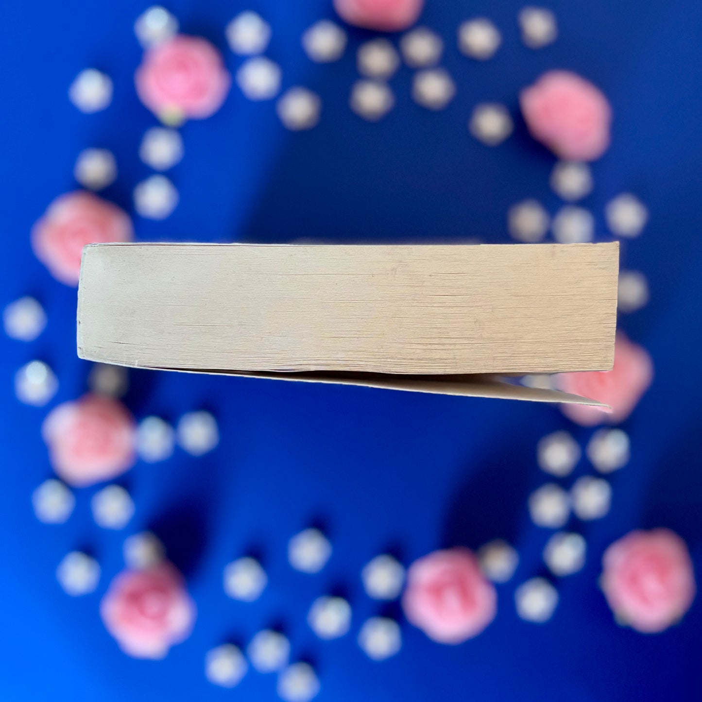 Book’N’Ombres - Book’Ted ♻️