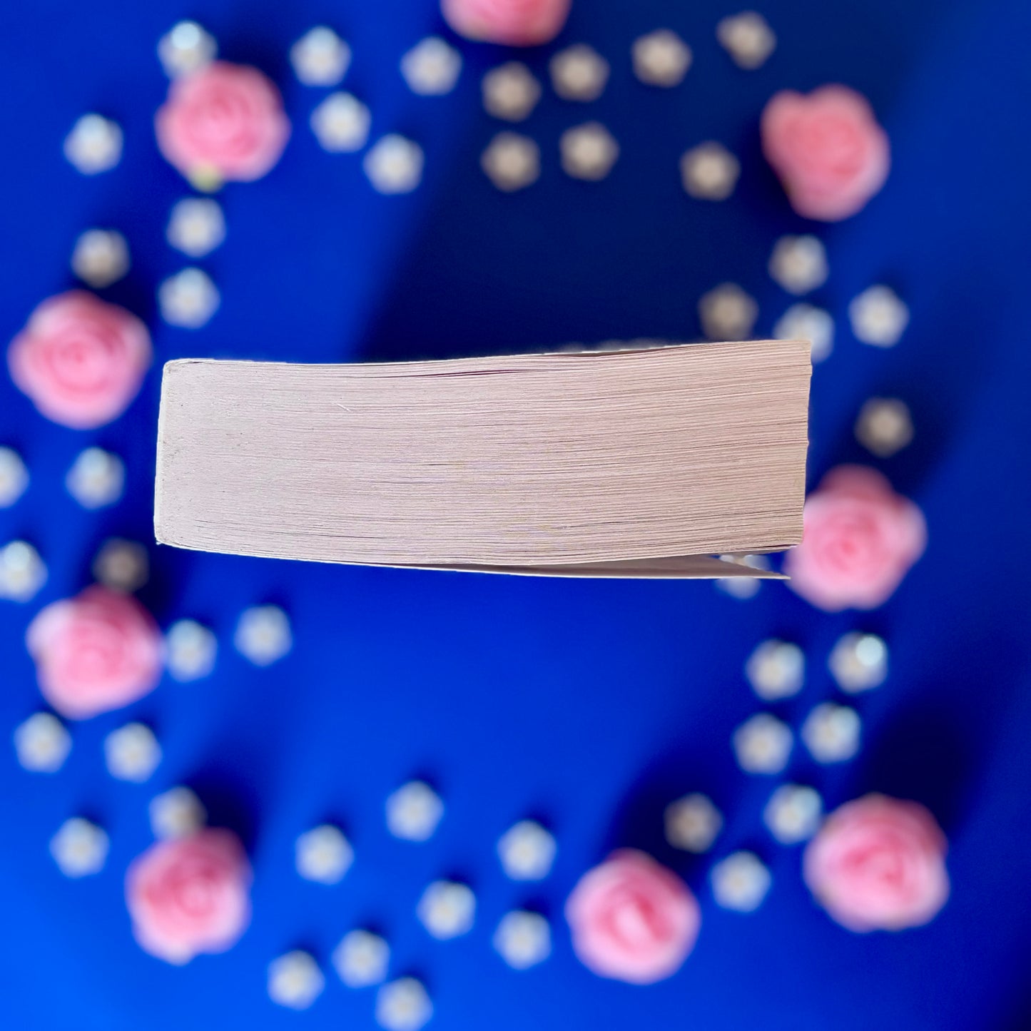 Book'N'Majesty - Book’Ted ♻️