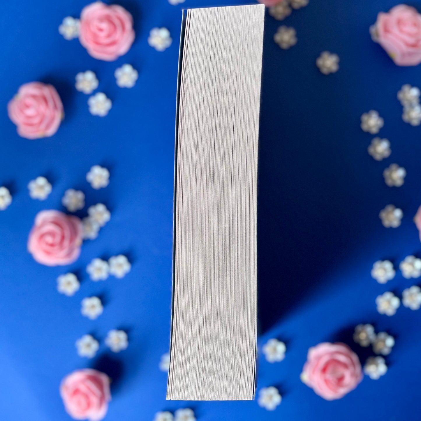 Book’N’Dream - Book’Ted ♻️