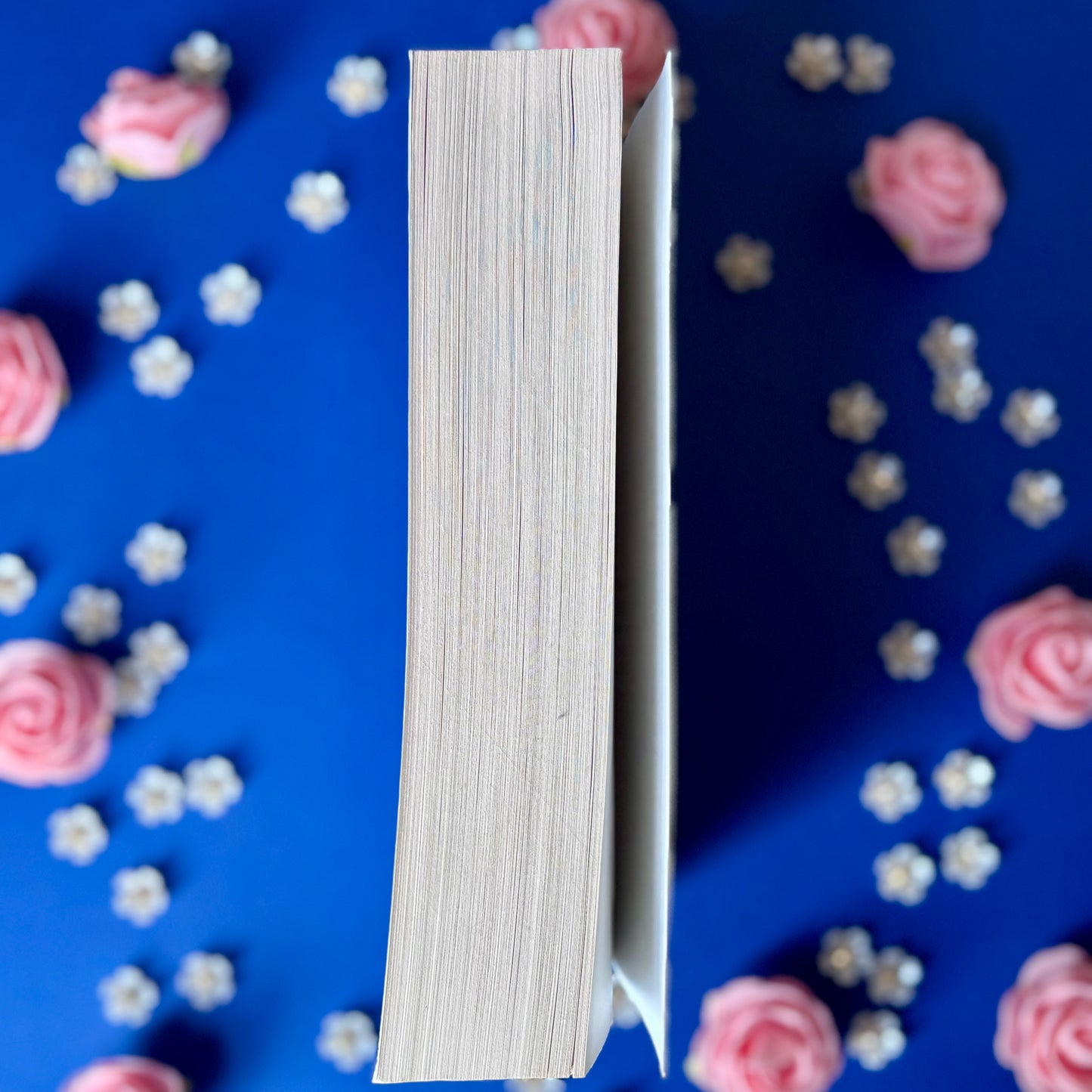 Book’N’Ice - Book’Ted ♻️