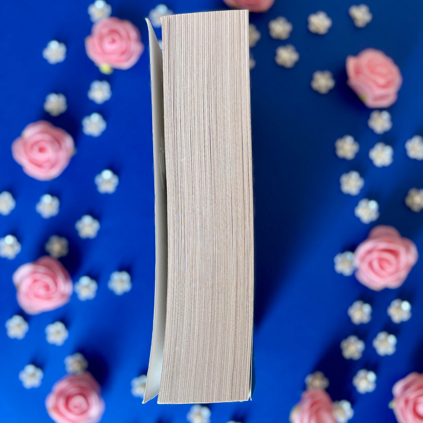 Book’N’Rebel - Book’Ted ♻️