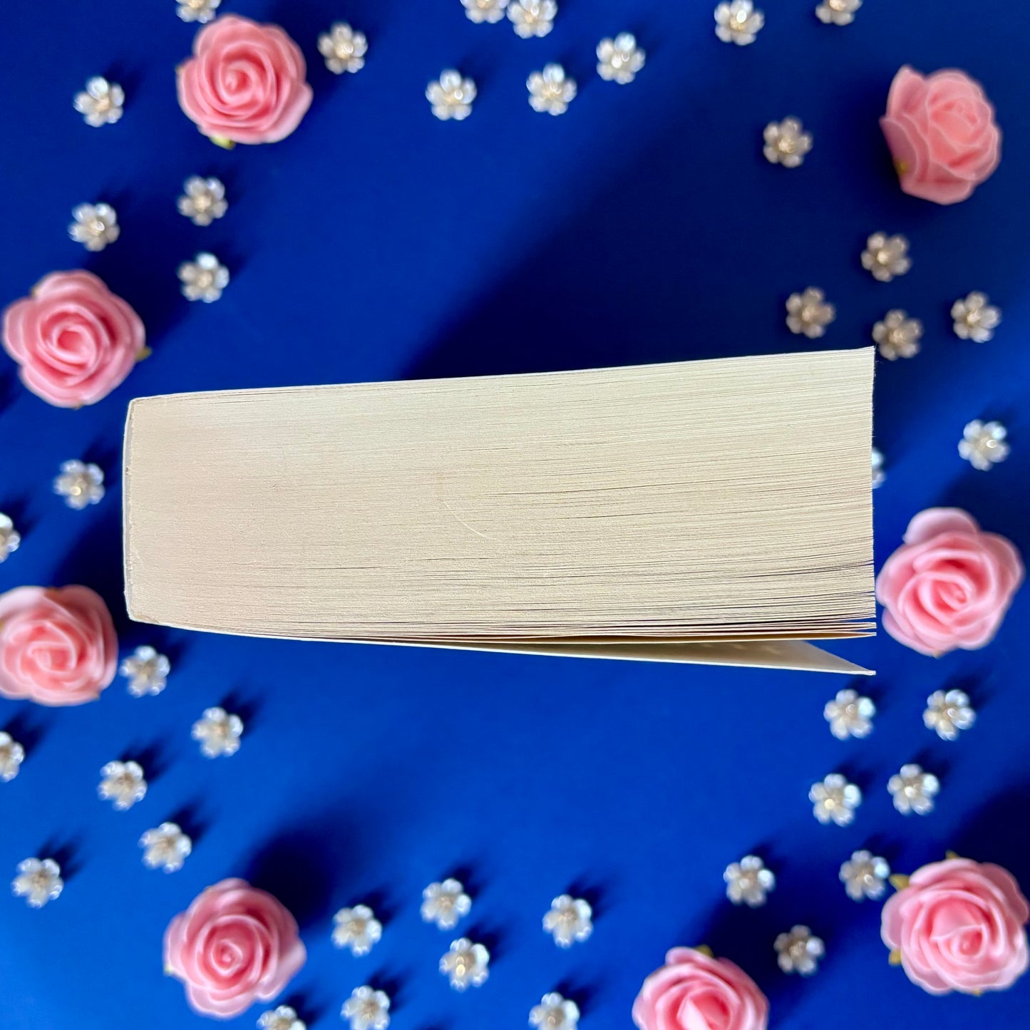 Book’N’Precursor - Book’Ted ♻️