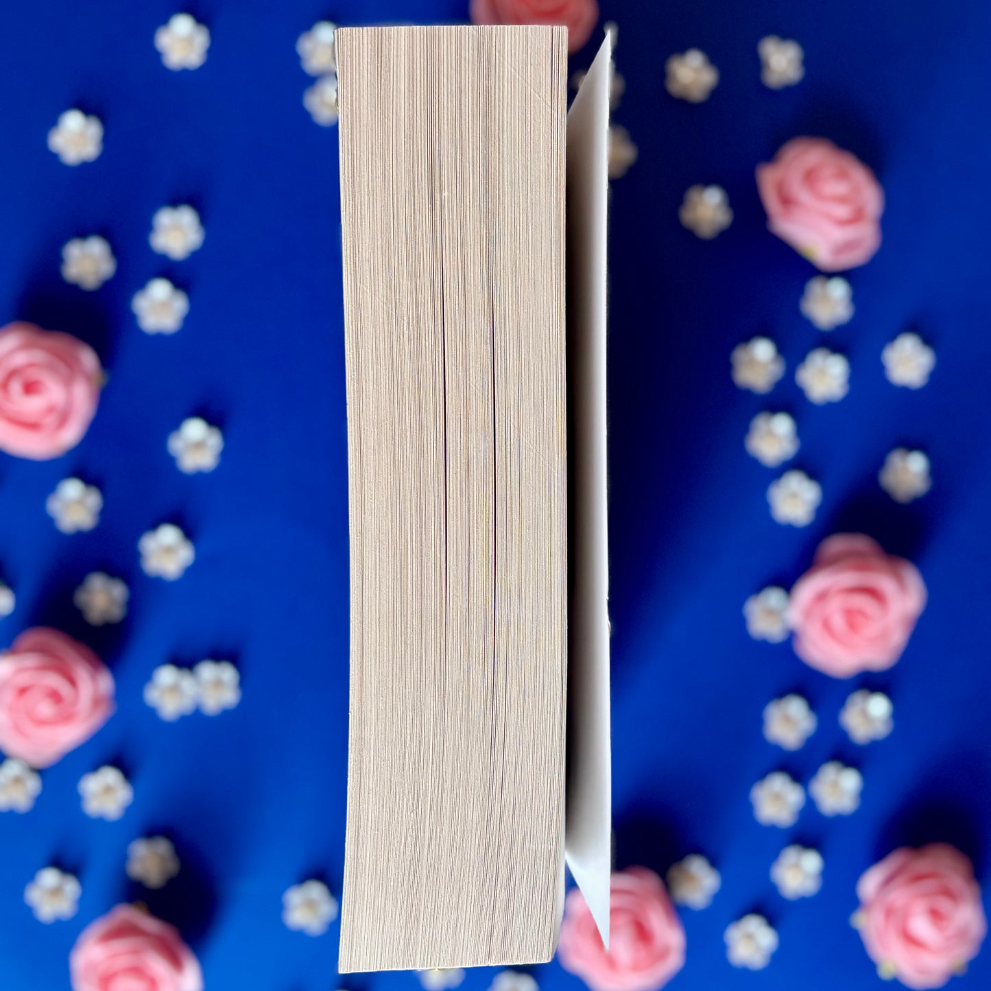 Book’N’Swear - Book’Ted ♻️