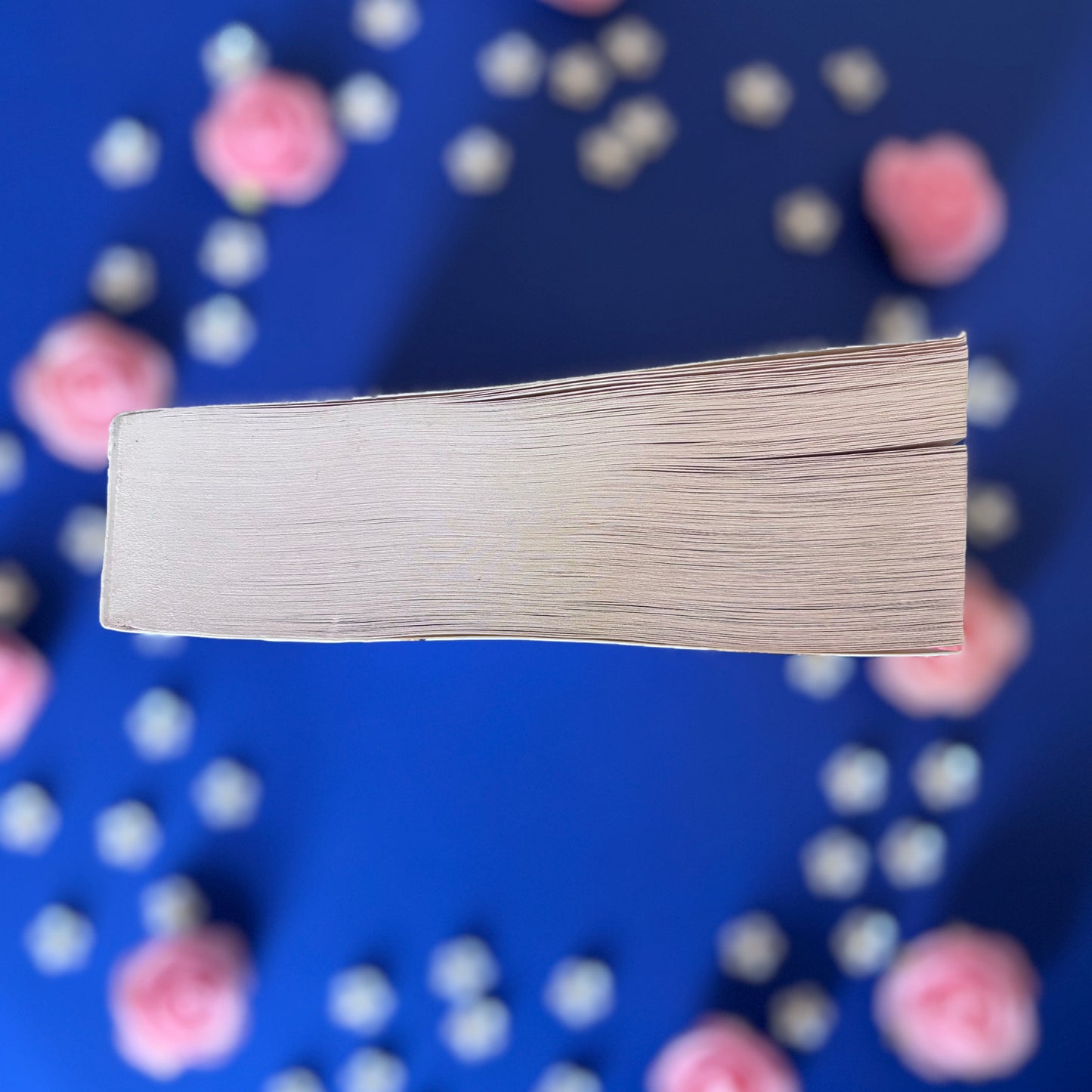 Book’N’Prince - Book’Ted ♻️