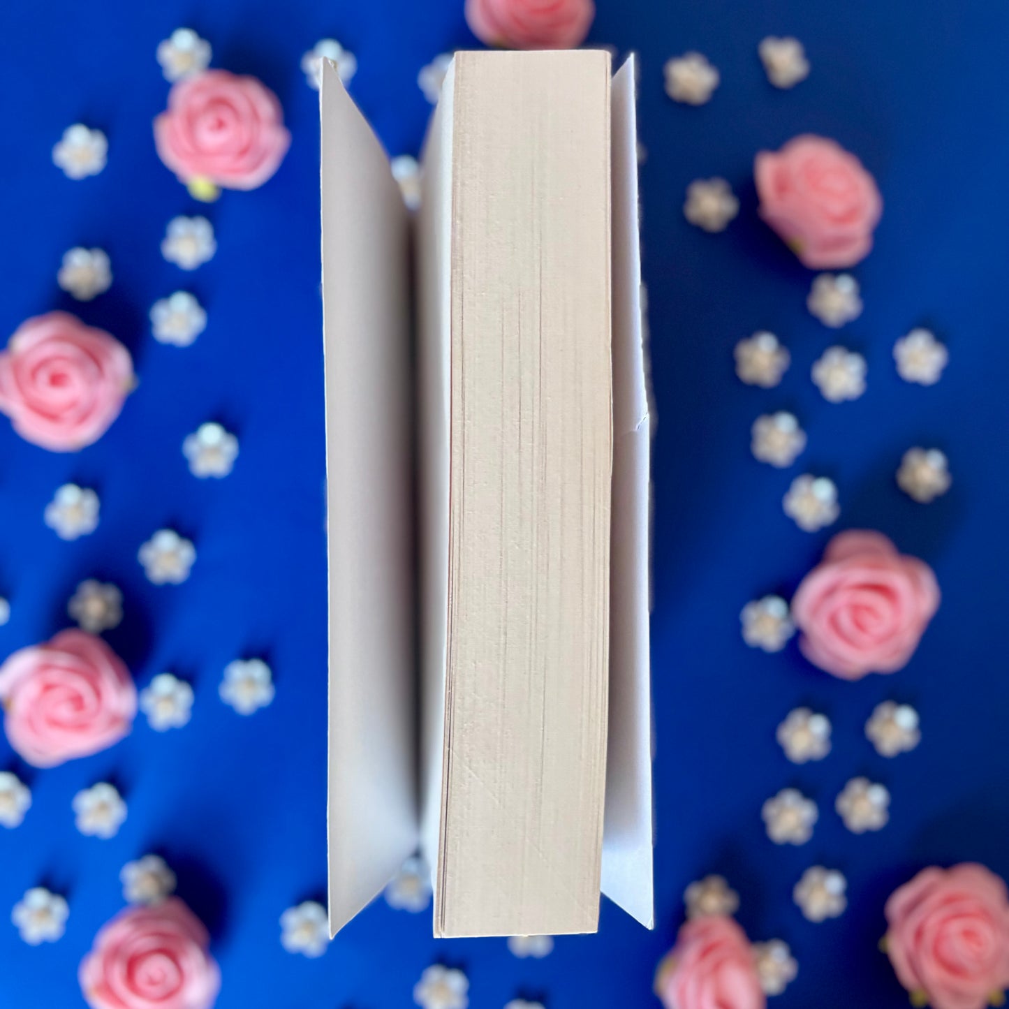 Book’N’Match - Book’Ted ♻️