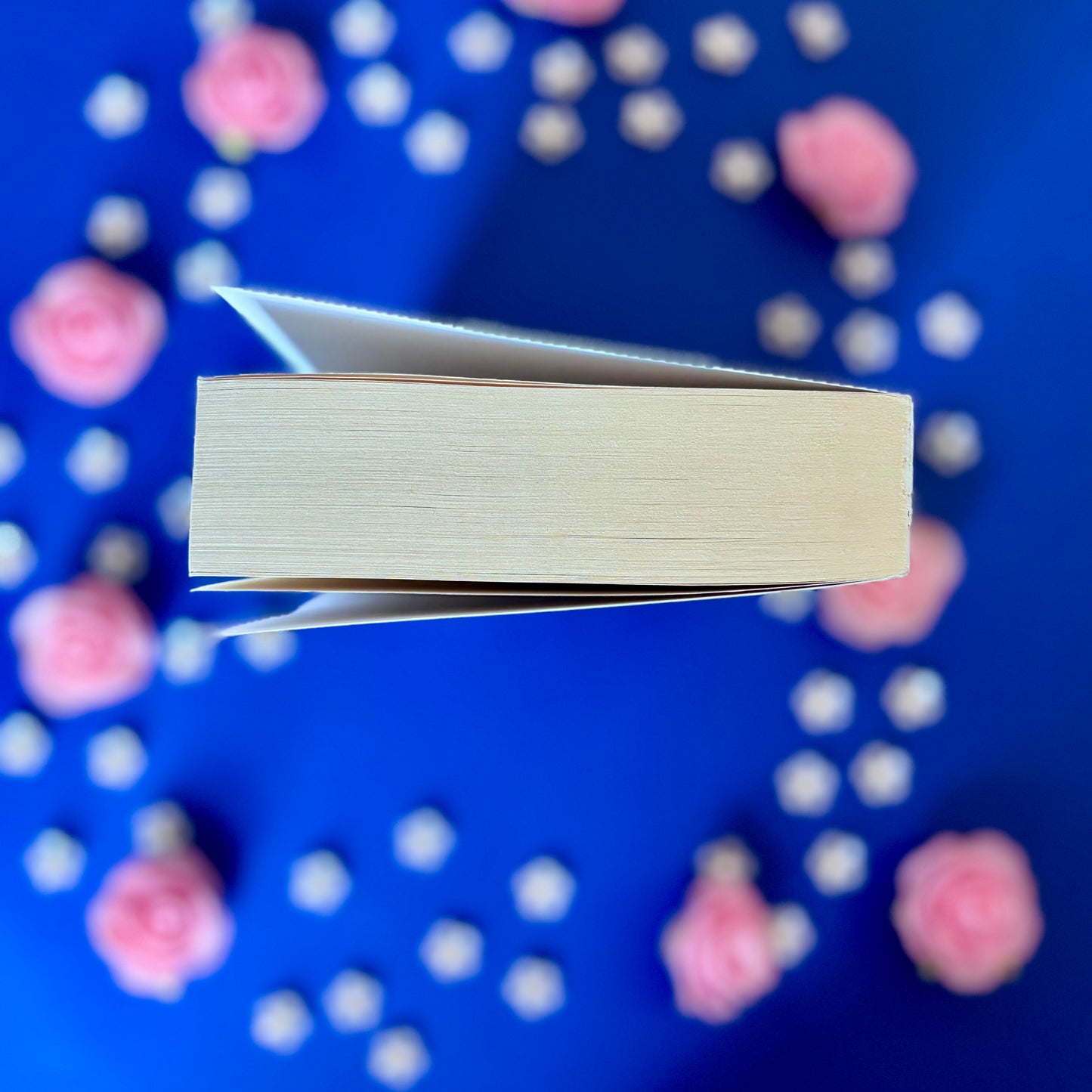 Book’N’Match - Book’Ted ♻️