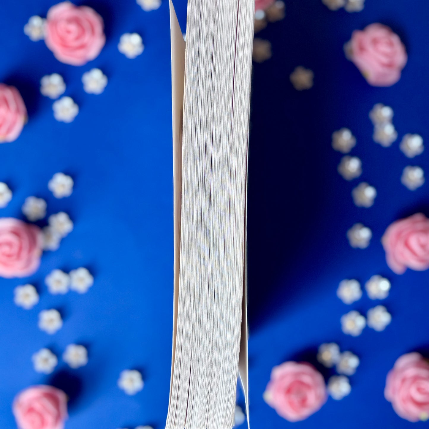 Book’N’Illumen - Book’Ted ♻️